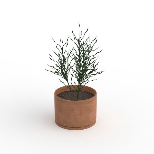 With Plant Flowerpot 02 3D Model