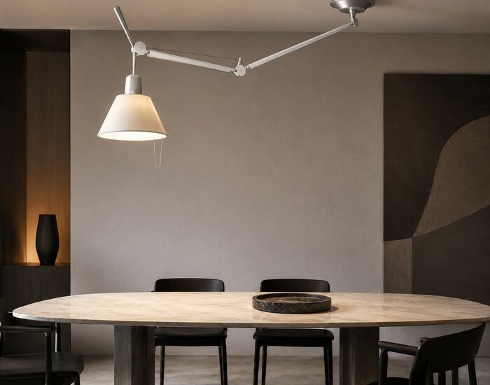 Tolomeo Suspension Lamp Decentered 3D Model