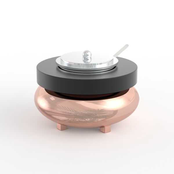 Copper Kettle 01 3D Model