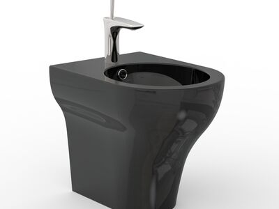 Clear Bidet Shiny Black