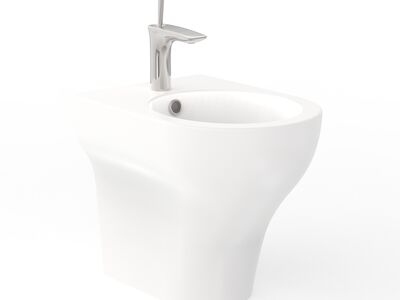 Clear Bidet Matt White