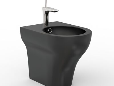 Clear Bidet Matt Black
