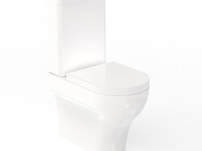 Clear Pan WC CC 3D Model