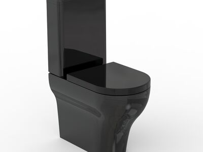 Clear Pan WC Shiny Black