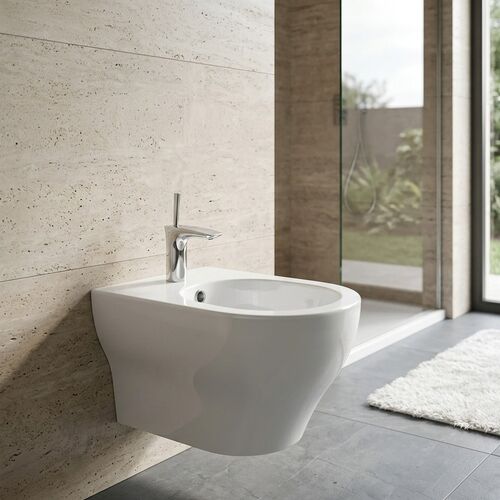 Olympia Ceramic Clear Wall Hung Bidet 3D Model