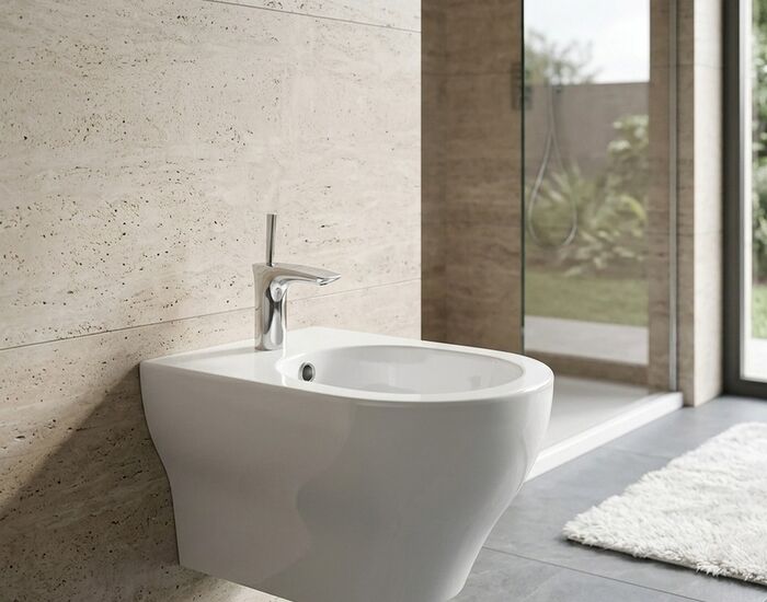Olympia Ceramic Clear Wall Hung Bidet 3D Model