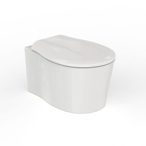 Formosa 2.0 Wall Hung WC 3D Model