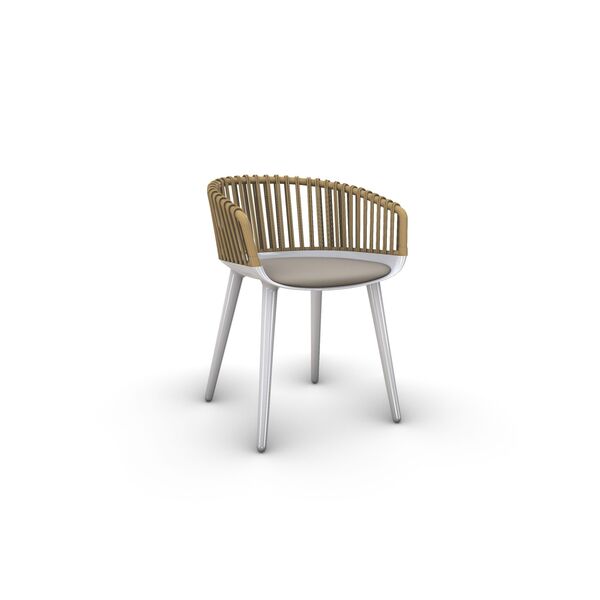 Magis Cyborg Club Chair rv.jpg
