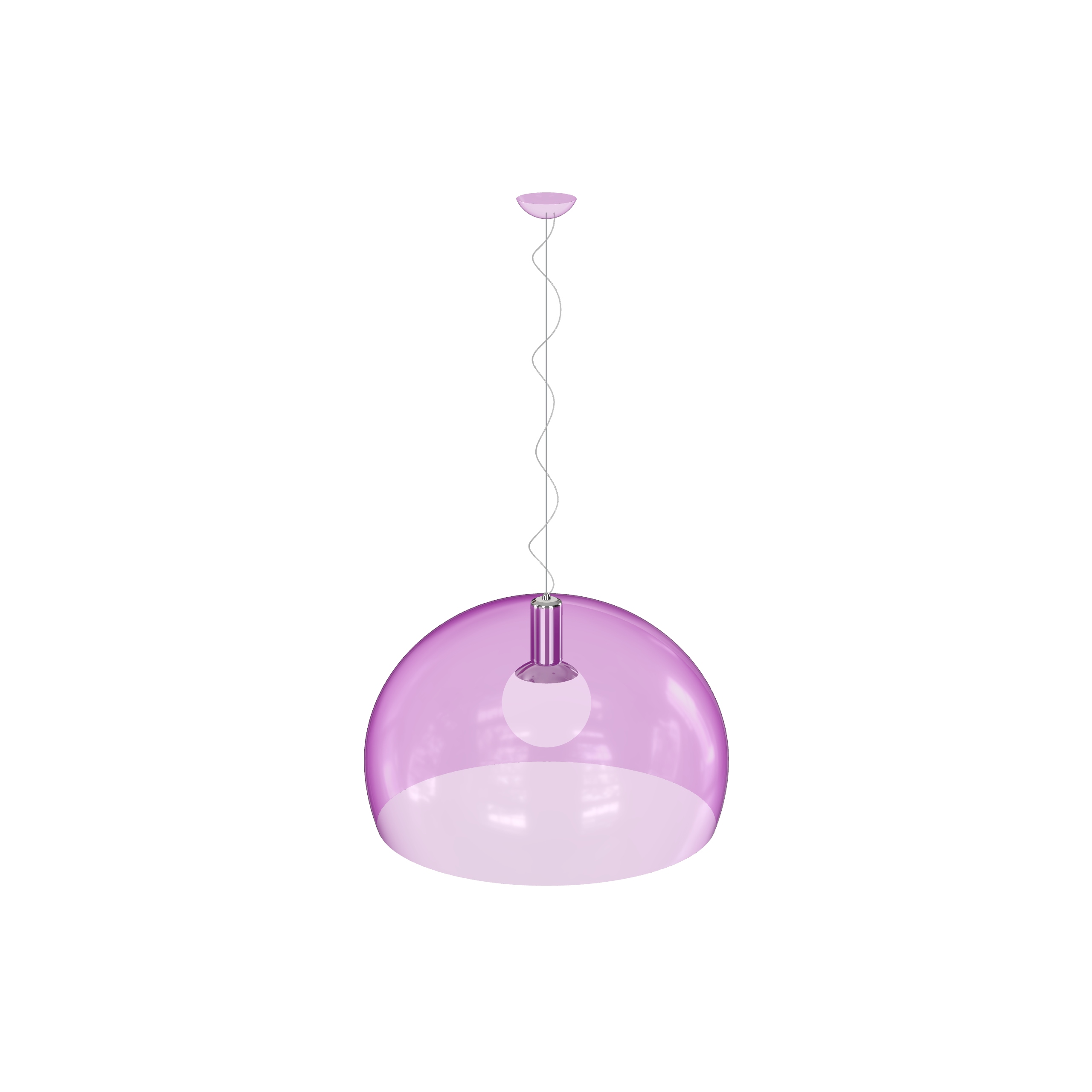 Fly 3D Model