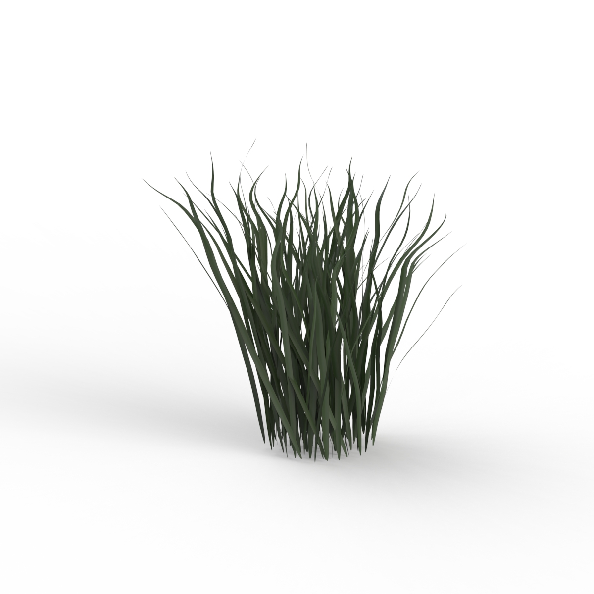 Grass Plant 02 3D Model