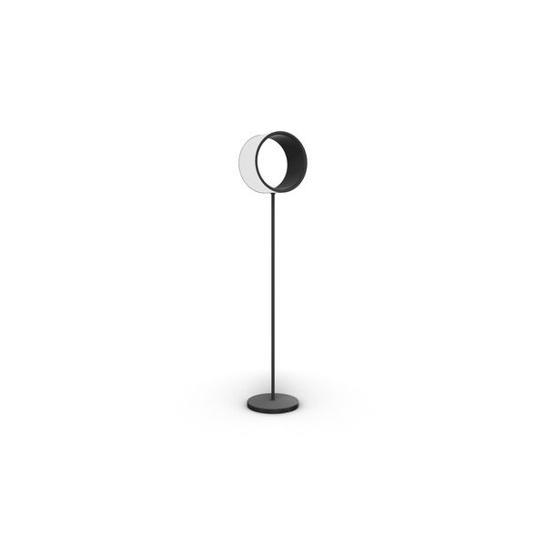 Lost Lamp 3D Model
