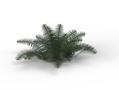 Grass Plant 05 3D Model