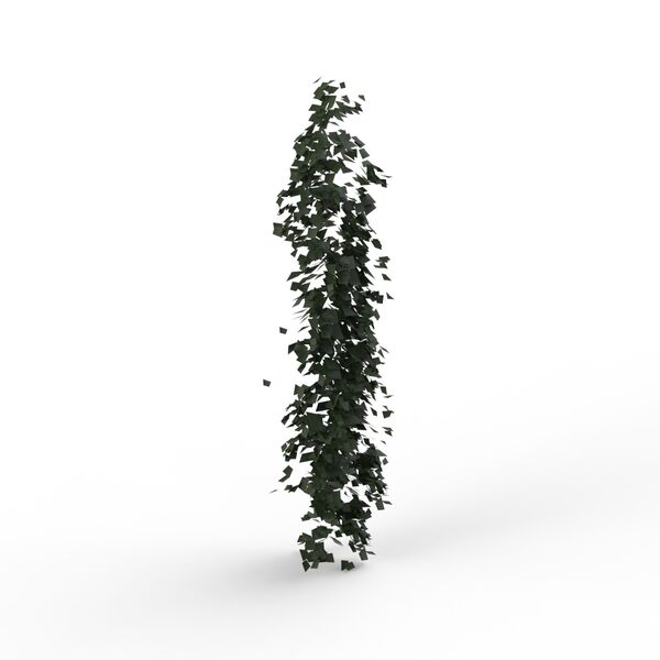 Plant climbing 01