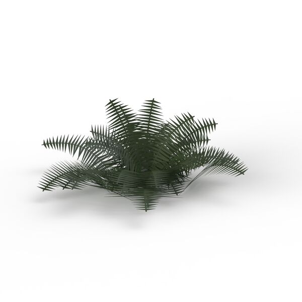 Plant 05