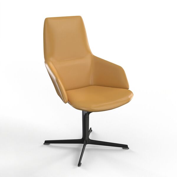xArper Duna 02 Armchair Woodlegs 4223 - view 1188, Arper