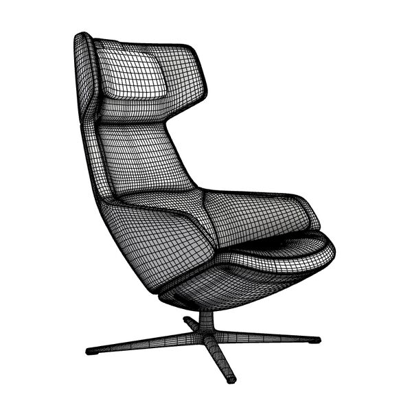 xArper Duna 02 Armchair Woodlegs 4223 - view 1191, Arper