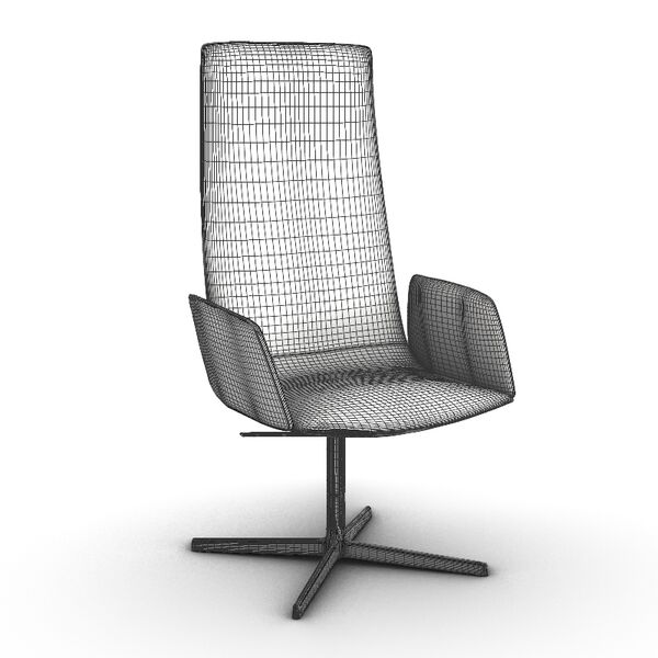 xArper Duna 02 Armchair Woodlegs 4223 - view 1211, Arper