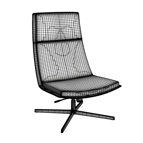 xArper Duna 02 Armchair Woodlegs 4223 - view 1219, Arper
