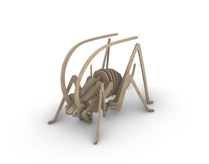 Plywood Toy Grasshopper 3D Model