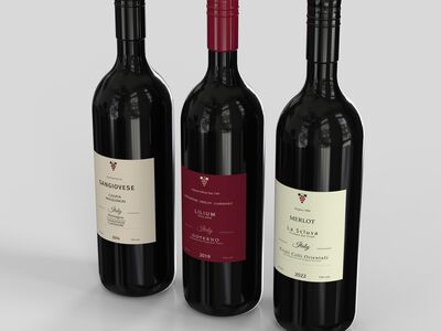 Wine Bottles 3D Model