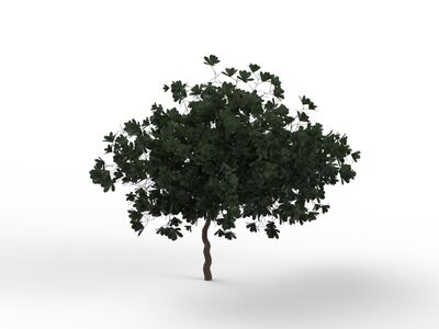 Leaves Dark Green Tree 01 3D Model