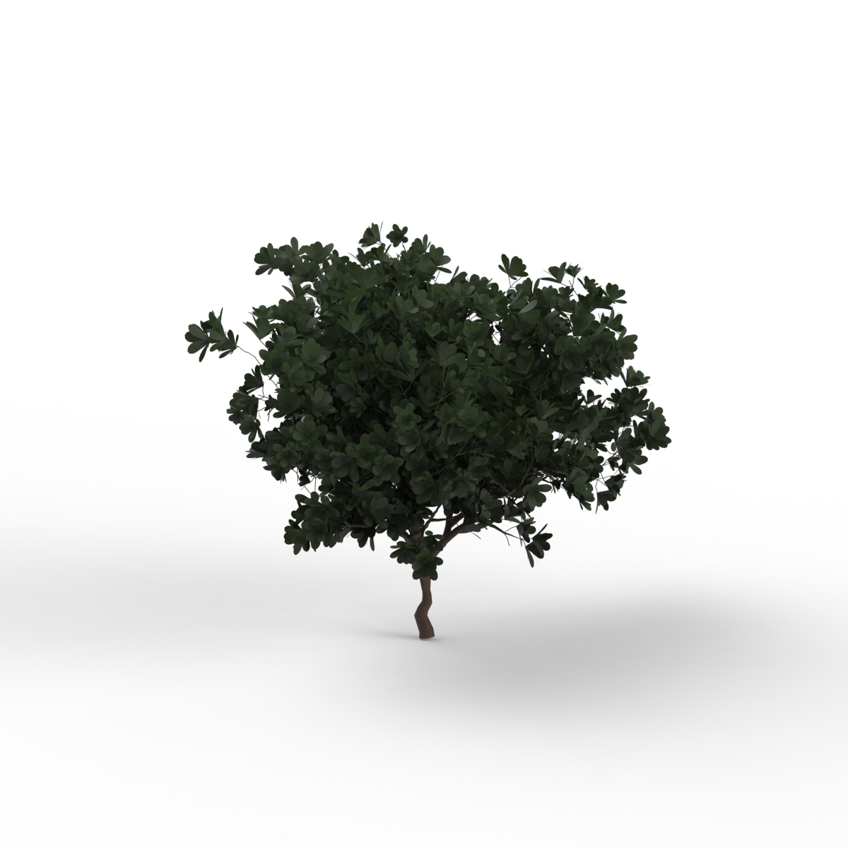 Leaves Dark Green Tree 02 3D Model
