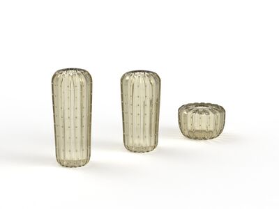 Cactus Collection Vases 3D Model