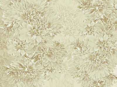 Paperwall Dahlie 3D Model - view 471, WallZad