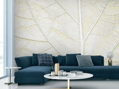 Paperwall Demy 3D Model - view 473, WallZad
