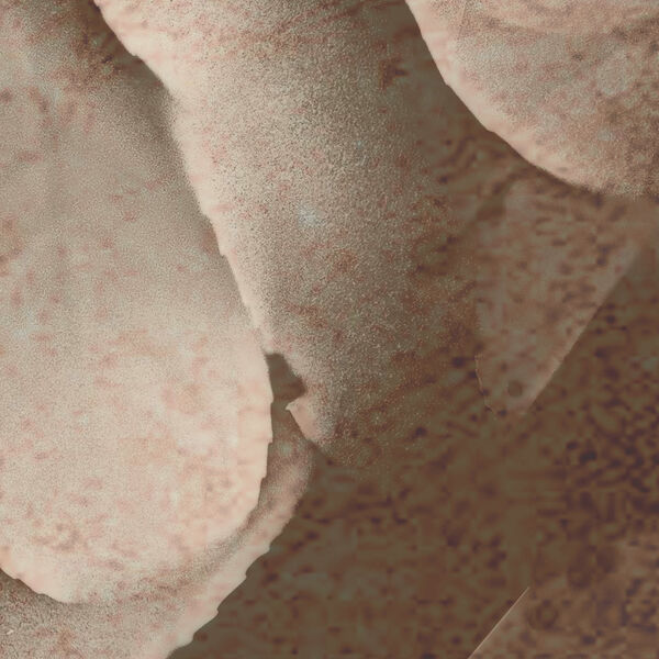 WallZad Paperwall Demy 3D model — clay shaded view