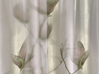 Paperwall Harry 3D Model - view 483, WallZad