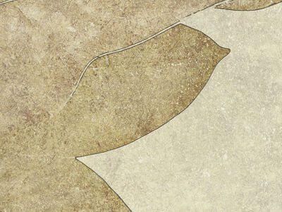 Paperwall Harry 3D Model - view 484, WallZad