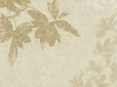 Paperwall Harry 3D Model - view 486, WallZad