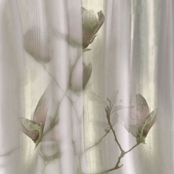 Paperwall Haray 3D Model