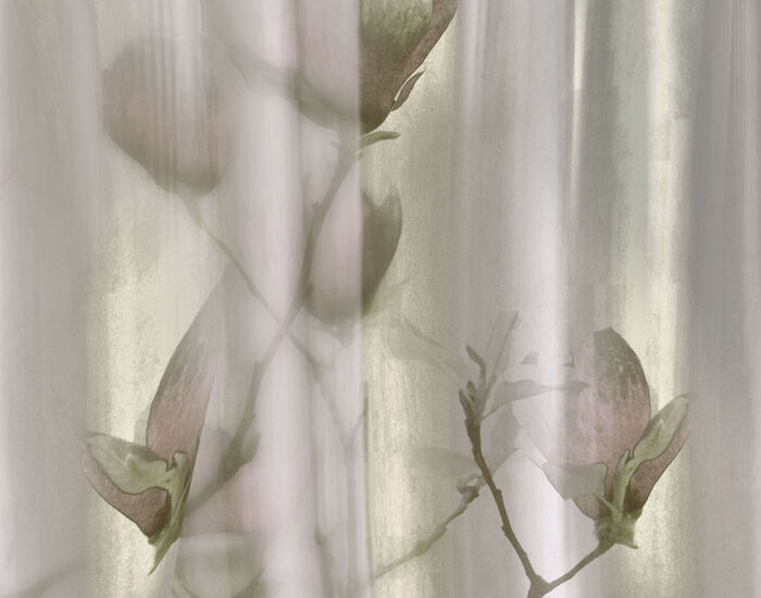 Paperwall Haray 3D Model