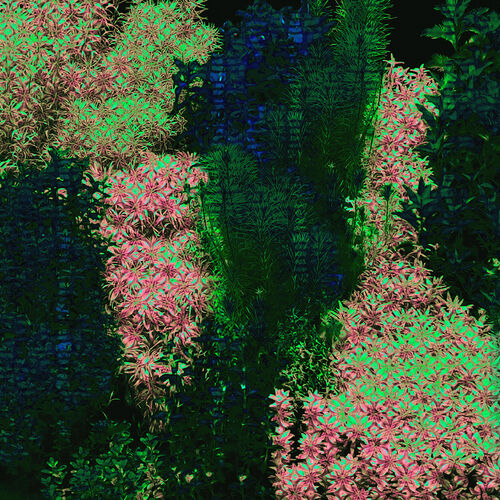 Paperwall Hedge 3D Model