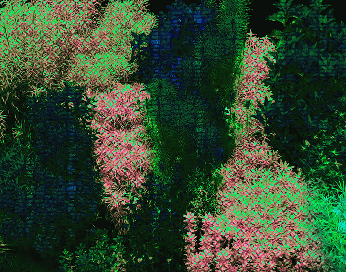 Paperwall Hedge 3D Model