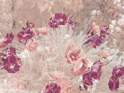 Paperwall Shabby Poppy 3D Model
