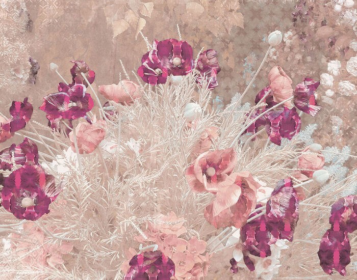 Paperwall Shabby Poppy 3D Model